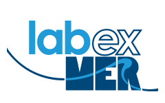 Labex_logo.png