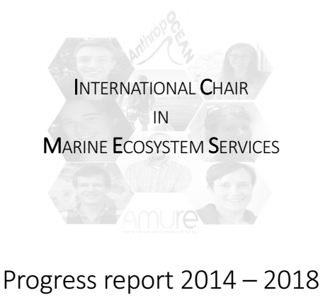 IC-MES Progress report 2014-2018.png