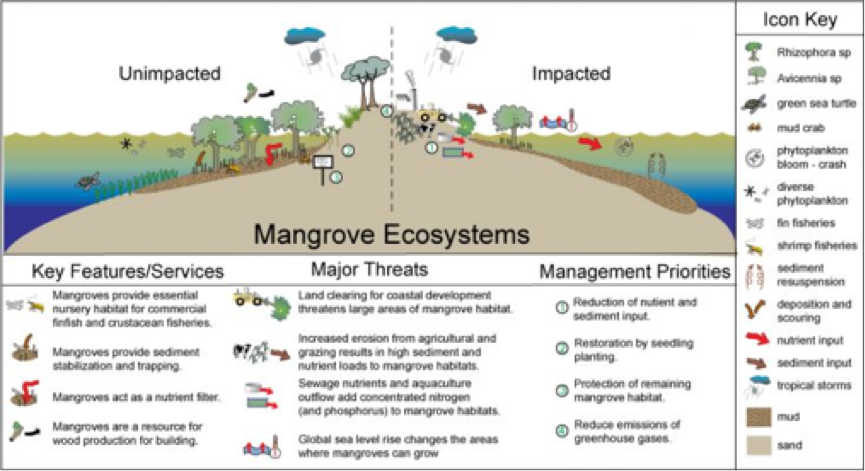 Mangrove ecosystems.png