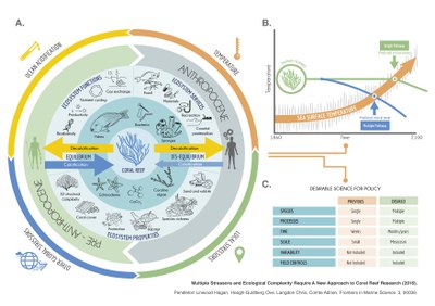 Ecological processes and Coral Reefs